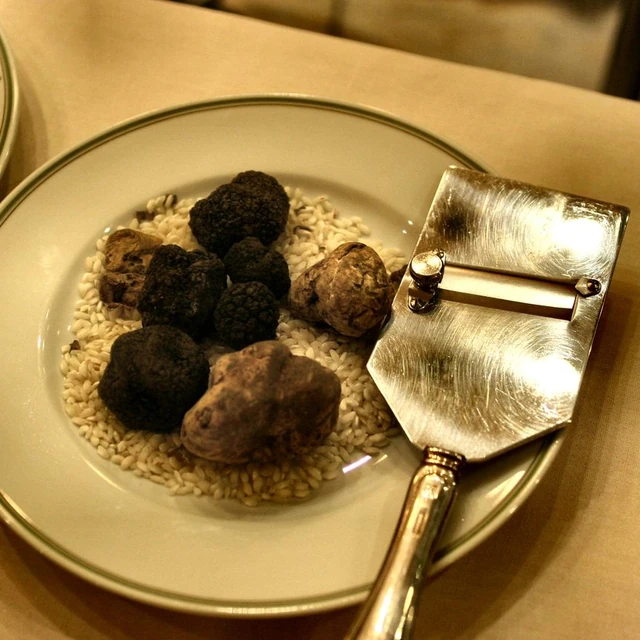 ريزوتو ترافل
